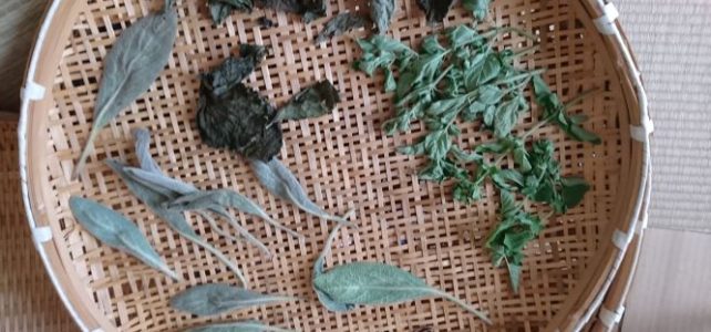 野草くさたにについて